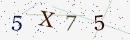 Verification code image