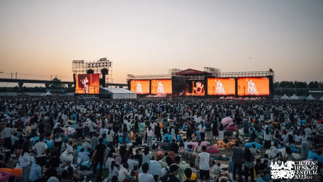 Loa Line Array ZSOUND VCX: Đảm bảo Mọi Góc đều Vang dội Hoàn hảo tại Lễ hội Âm nhạc Cactus